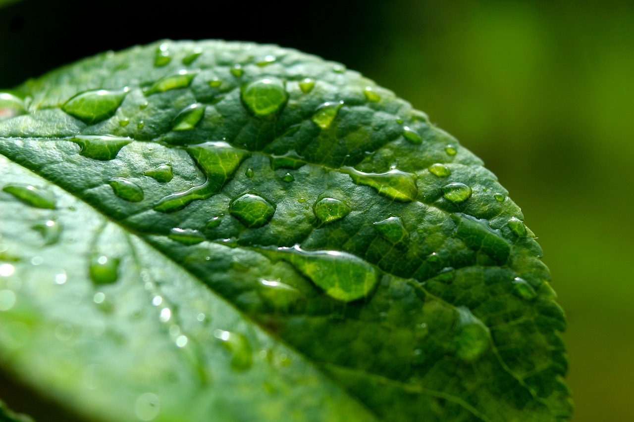 How to Photograph Rain and Stormy Weather Creatively